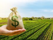 El sector agropecuario sufre por la renta agrícola