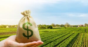 El sector agropecuario sufre por la renta agrícola