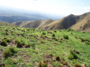 En qué horarios se podrán visitar las cinco Áreas Naturales de San Luis