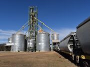 Partió de San Luis un tren con 1.500 toneladas de soja a China