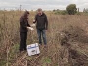 Cómo se hace una evaluación de impacto ambiental en San Luis