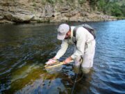 Comienza la veda de pesca de trucha arco iris en San Luis