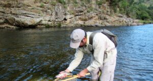 Comienza la veda de pesca de trucha arco iris en San Luis
