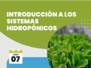 Taller “Introducción a los sistemas hidropónicos” en Villa Mercedes