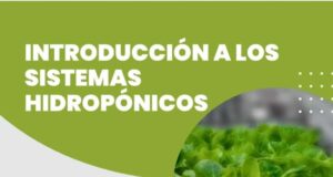 Taller “Introducción a los sistemas hidropónicos” en Villa Mercedes