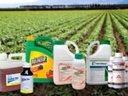 Brindarán una jornada de capacitación sobre agroquímicos en Casa de Gobierno