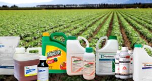 Brindarán una jornada de capacitación sobre agroquímicos en Casa de Gobierno