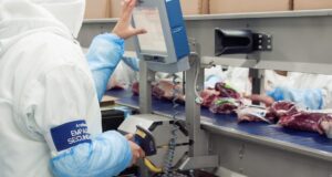 Carne vacuna. En pleno invierno, el mercado se quedó sin combustible