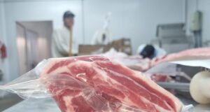Ser Beef realiza ensayos de engorde a corral de corderos