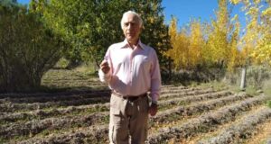 Productores de cuatro zonas se unieron para desarrollar el azafrán en Mendoza