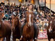 “Horsemanship”, el adiestramiento equino basado en el respeto y la empatía