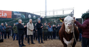 Un «Místico» ingresó a la Expo Rural de Palermo