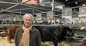 Limangus revalida y consolida su liderazgo en rinde carnicero