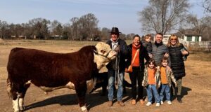 San Luis: Cabaña La Redomona incorporó un toro Hereford premiado en la Rural de Palermo