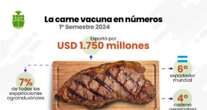 Exportaciones Agroindustriales: qué vendemos, a dónde, cuánto y mucho más