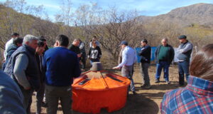 San Luis: las dietas líquidas suman kilos en una recría en Quines