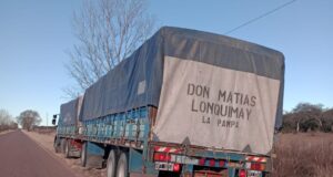 San Luis: decomisaron un camión con carga forestal en Arizona
