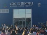 El sustituto de glifosato promovido por Misiones es trucho