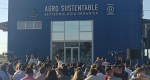 El sustituto de glifosato promovido por Misiones es trucho