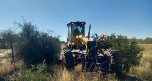 Vialidad Nacional realiza tareas de desmalezado y mantenimiento de rutas en San Luis
