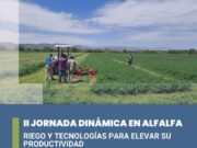 Riego y tecnologías: llega la segunda jornada dinámica en alfalfa a Quines