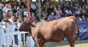 La 93° Expo Rural Río Quinto promete ser un evento emocionante con varios atractivos destacados