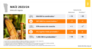 San Luis: a pesar de la superficie perdida, el maíz rindió cerca de un 20% más que la campaña pasada