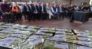 San Luis lanzó el programa «Activá tu huerta» para estimular la producción hortícola