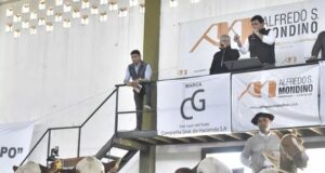 Buena Esperanza: pagaron máximos de casi $7 millones por los toros Braford de Compañía General de Hacienda