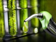 Las Pymes elaboradoras de biodiesel se oponen al proyecto de ley presentado por la Liga Bioenergética