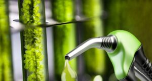 Las Pymes elaboradoras de biodiesel se oponen al proyecto de ley presentado por la Liga Bioenergética