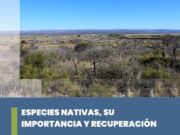 San Luis: capacitación para conocer las especies nativas, su importancia y recuperación