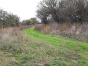 Milei eliminó por decreto un fondo fiduciario de casi $15.000 millones para protección de bosques nativos