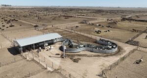 Un campo de Moldes que usa caravana electrónica desde hace seis años