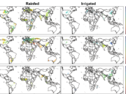Logran completar con IA el atlas de productividad de todas las áreas agrícolas del mundo para tres grandes cultivos