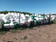 Nueva Galia será sede de una nueva jornada de recepción de envases fitosanitarios