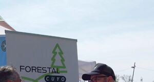 Forestal Cuyo: servicios de consultoría ambiental para el campo de San Luis