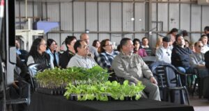 San Luis: el sábado 2 de noviembre habrá una Expo Frutihortícola Gastronómica