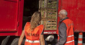 Fortalecen a municipios de San Luis para cuidar la inocuidad de agroalimentos