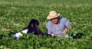 El Gobierno simplifica el Registro Único de la Cadena Agroalimentaria (RUCA)