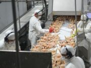 Las exportaciones avícolas crecieron 20% en los primeros 10 meses del año