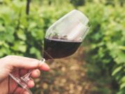 El INV simplificó los trámites para la elaboración de vinos artesanales y caseros