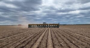 Terminó la siembra de girasol en San Luis y la de soja ya cubrió el 50% de la superficie proyectada
