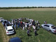 San Luis: Antiguas Estancias Don Roberto mostró ensayos con la pastura Sainfoin