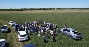 San Luis: Antiguas Estancias Don Roberto mostró ensayos con la pastura Sainfoin