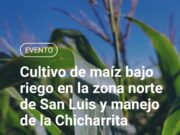 Jornada sobre cultivo de maíz bajo riego en el norte de San Luis y manejo de la chicharrita