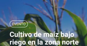 Jornada sobre cultivo de maíz bajo riego en el norte de San Luis y manejo de la chicharrita
