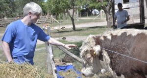 Tiene 24 años y ya formó su propia cabaña Hereford en San Luis