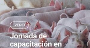 Jornada de capacitación en cerdos en Villa Mercedes