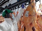 Fomento al cuidado de la inocuidad de alimentos en municipios de La Pampa y San Luis